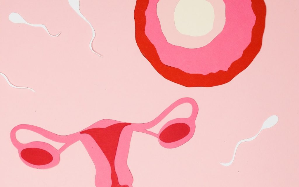 ovary denoting fertility drugs